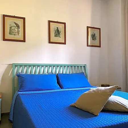 Amalia 4* Αβελλίνο