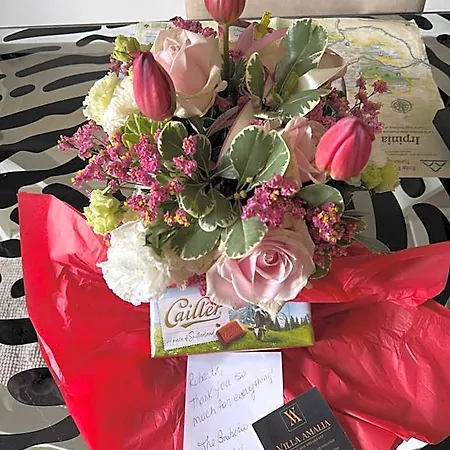 فندق مبيت وإفطار Amalia أفيلينو